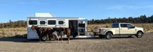 Arizona Horse Trailers for Sale